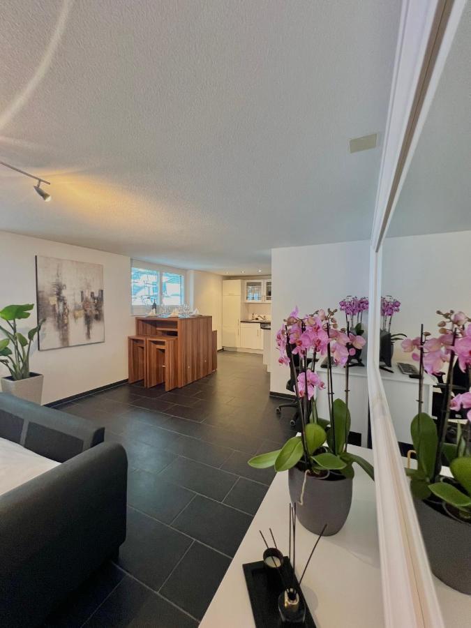 The R Apartment Froburg, Parking, Netflix, Golfplatz Obergosgen Exterior foto