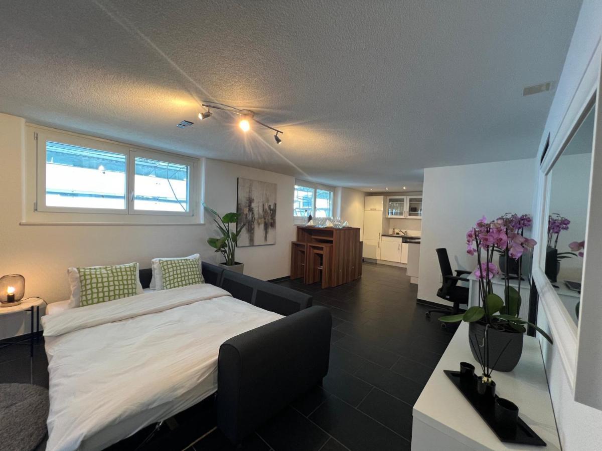 The R Apartment Froburg, Parking, Netflix, Golfplatz Obergosgen Exterior foto